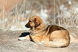 20130306_0367 1